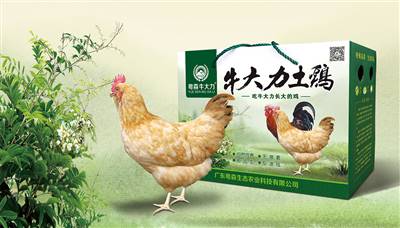 黄瓜视频牛大（dà）力土雞