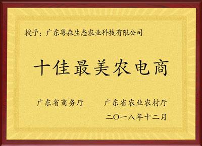 十佳最美農電（diàn）商
