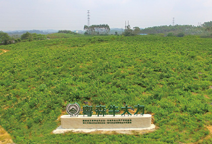 示範（fàn）種植基地