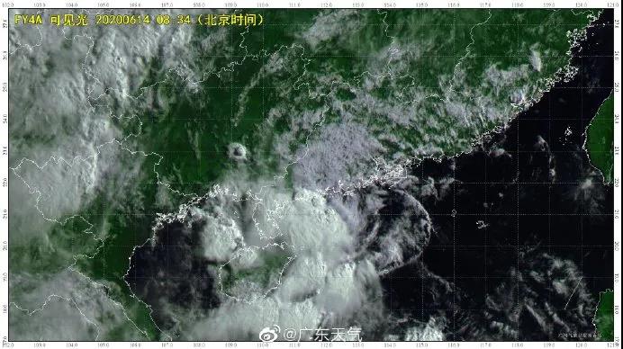 良種良法（fǎ）\台風來了，你的（de）牛大力種植場準備好了嗎？